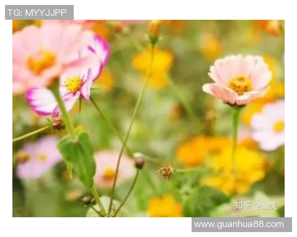 你不知道的伤病名单:十大冷知识大揭秘