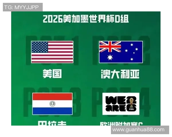 足球世界杯东道主备战进展及全球球迷热切期待分析